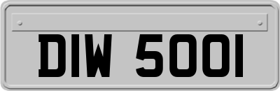 DIW5001