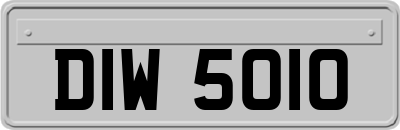 DIW5010