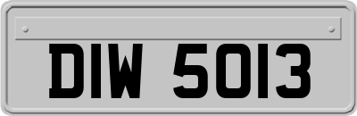 DIW5013