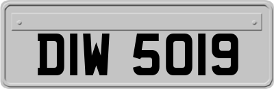 DIW5019