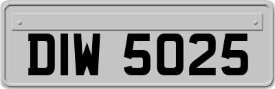 DIW5025
