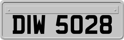 DIW5028