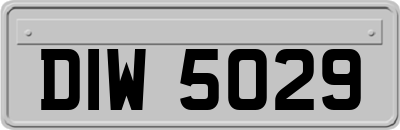 DIW5029