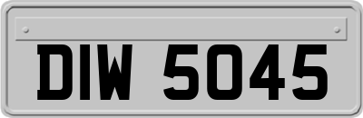 DIW5045