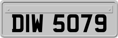 DIW5079