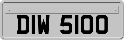 DIW5100