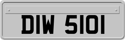 DIW5101