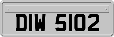DIW5102