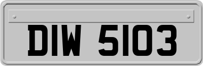 DIW5103