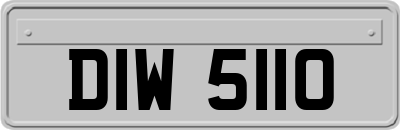 DIW5110