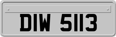 DIW5113