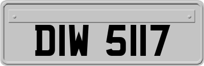 DIW5117