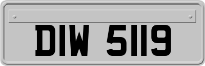 DIW5119