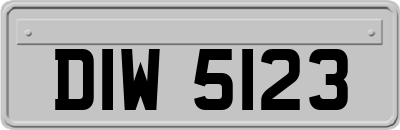 DIW5123