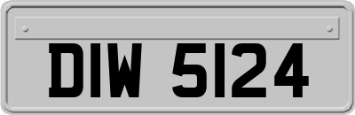DIW5124