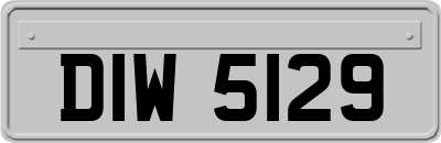 DIW5129