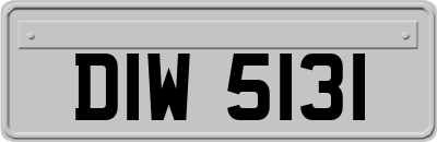DIW5131