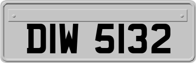DIW5132