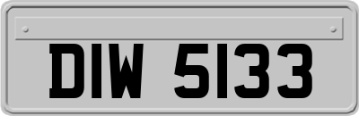 DIW5133