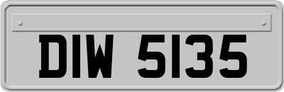DIW5135