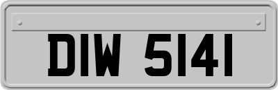 DIW5141