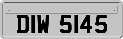 DIW5145