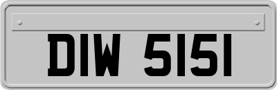 DIW5151