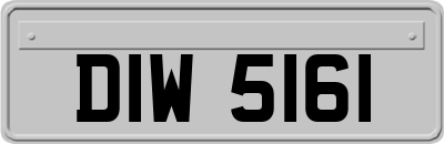 DIW5161