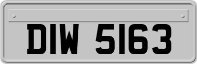 DIW5163
