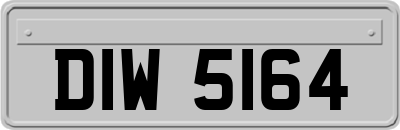 DIW5164