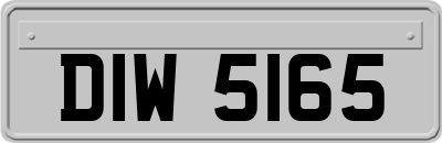 DIW5165