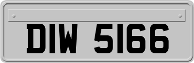 DIW5166