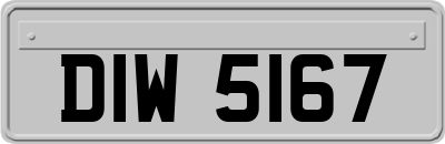DIW5167