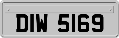 DIW5169