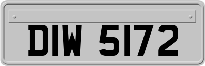 DIW5172