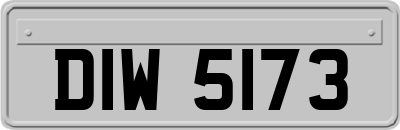 DIW5173