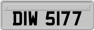 DIW5177