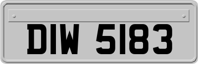 DIW5183