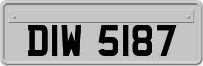 DIW5187