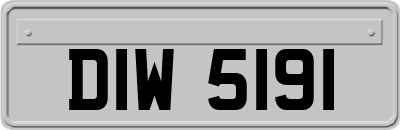 DIW5191