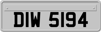 DIW5194
