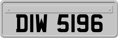 DIW5196