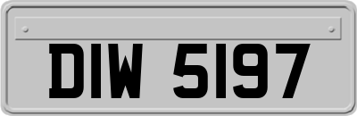 DIW5197