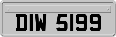 DIW5199