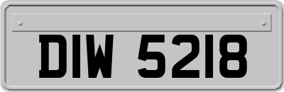 DIW5218
