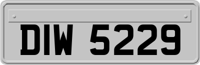 DIW5229