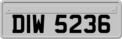 DIW5236