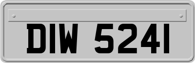 DIW5241