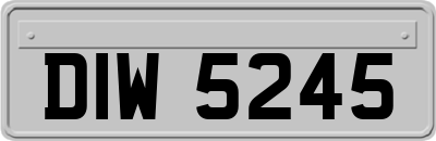 DIW5245