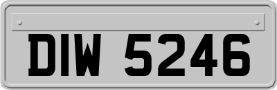 DIW5246